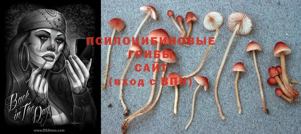 эйфоретик Белоозёрский