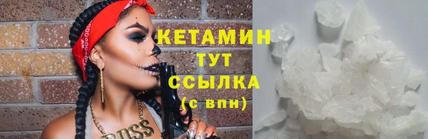 PSILOCYBIN Белокуриха