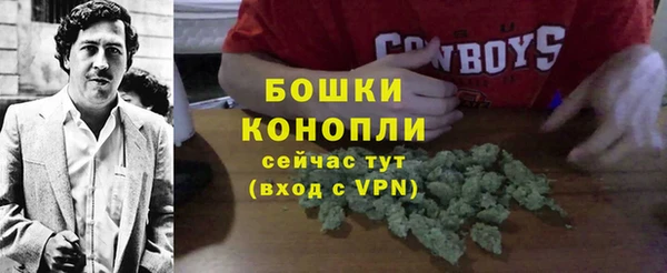 эйфоретик Белоозёрский