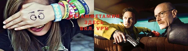 PSILOCYBIN Белокуриха