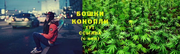 PSILOCYBIN Белокуриха