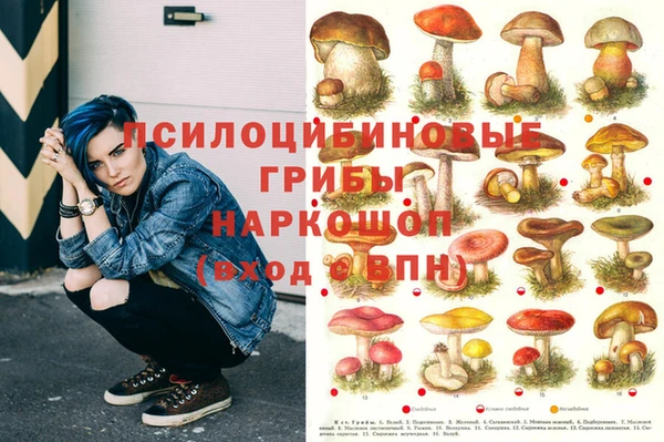 PSILOCYBIN Белокуриха