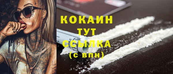 PSILOCYBIN Белокуриха